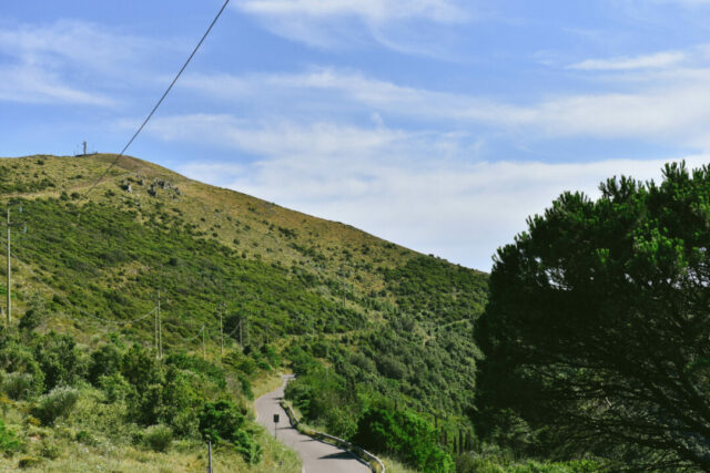 Straße mit grünen Büschen auf Elba