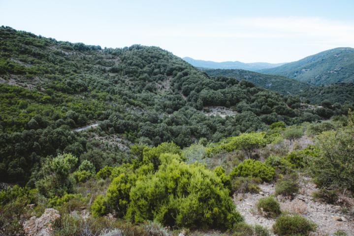nahe des Startpunktes der Wanderung Gola di Pirincanes Sardinien thealkamalsontheroad