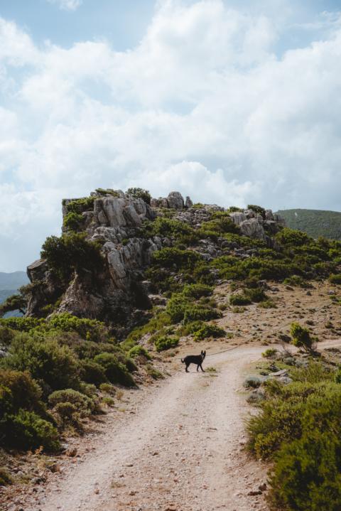 Ryok hat viel Spaß beim Wandern Hochebene Wanderung Codula de sa Mela Sardinien thealkamalsontheroad