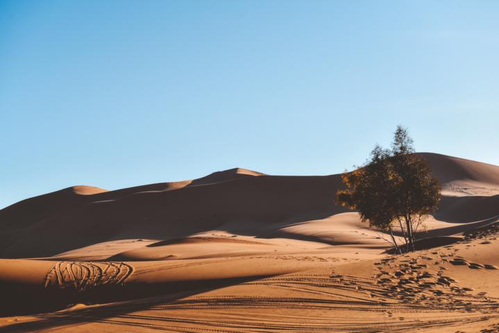 in der Sahara Marokko thealkamalsontheroad