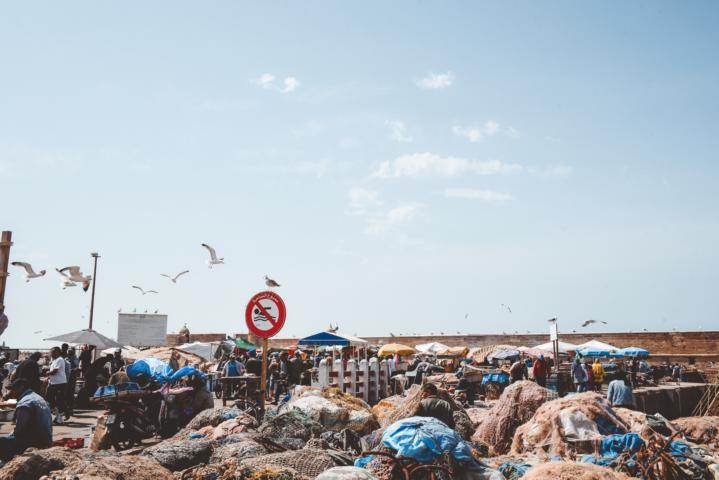 Fischmarkt in Essaouira Marokko thealkamalsontheroad