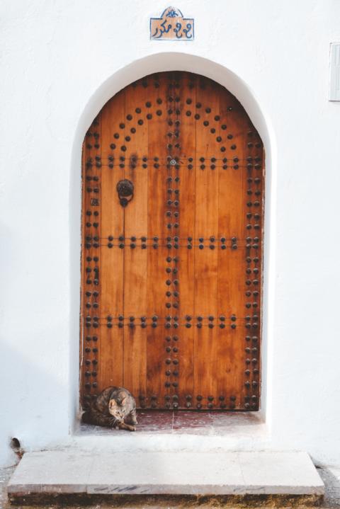 Hauseingang mit Katze die wartet Rabat Marokko thealkamalsontheroad