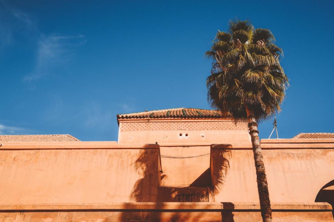 Mauer mit Palme Marrakesch Marokko thealkamalsontheroad