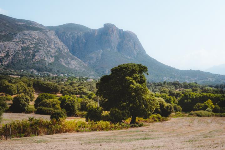 Landschaft bei Ajaccio Korsika thealkamalsontheroad