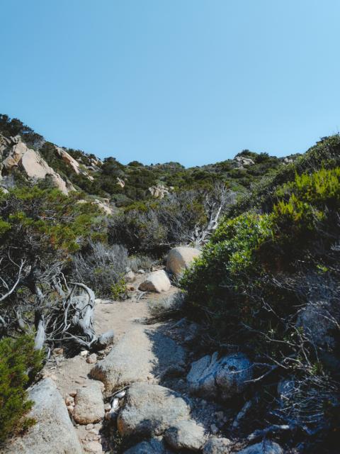 verworrene Wege am Capu di Muru Korsika thealkamalsontheroad