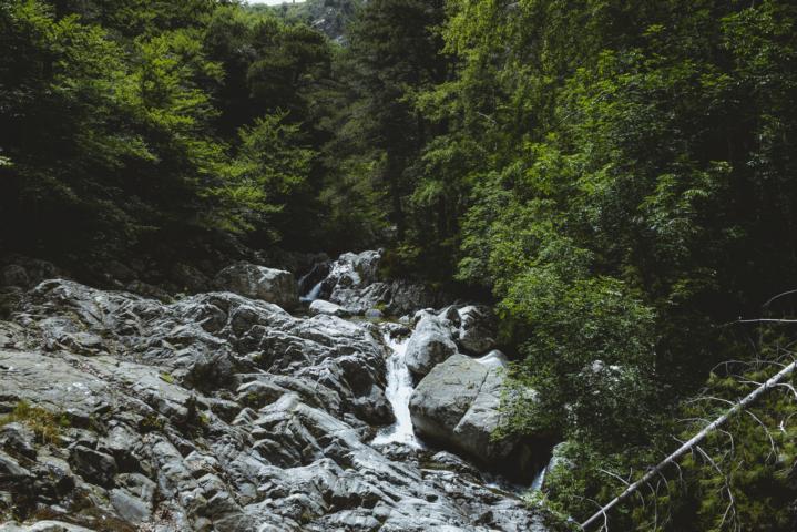 Baumstämme im Flussbett Cascades des Anglais Korsika thealkamalsontheroad