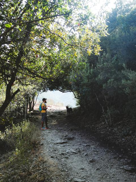 Leichter Wanderweg zur Gola di Gorropu Sardinien thealkamalsontheorad