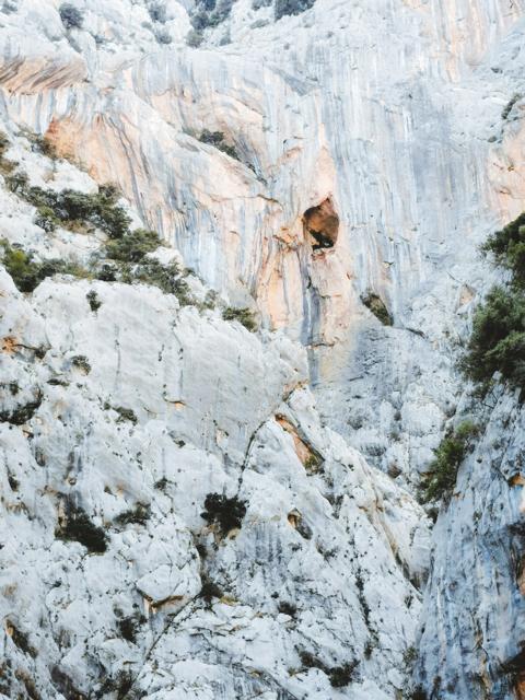 Felsen mit Höhlen und Bäumen in der Gola di Gorropu Sardinien thealkamalsontheroad