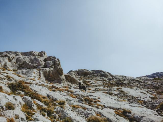 Ryok wandert über Felsplatten Punta Catirina Sardinien thealkamalsontheroad