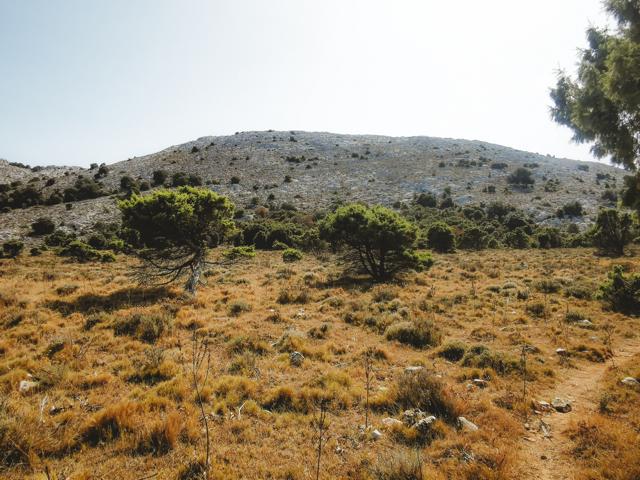 Gräser und Hitze auf der Hochebene Punta Catirina Sardinien thealkamalsontheroad