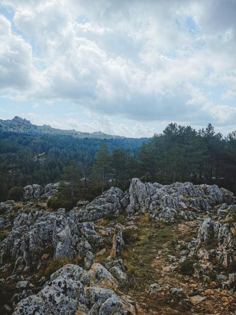 Gipfel aus Felsen Schlucht Riu Pisciaroni Sardinien thealkamalsontheroad