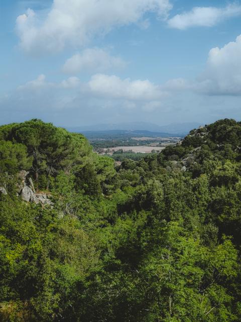 Blick zurück ins Tal bei Tempio-Pausania Schlucht Riu Pisciaroni Sardinien thealkamalsontheroad