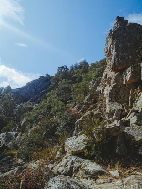 Felsen und Macchia am Wegrand Schlucht Riu Pisciaroni Sardinien thealkamalsontheroad