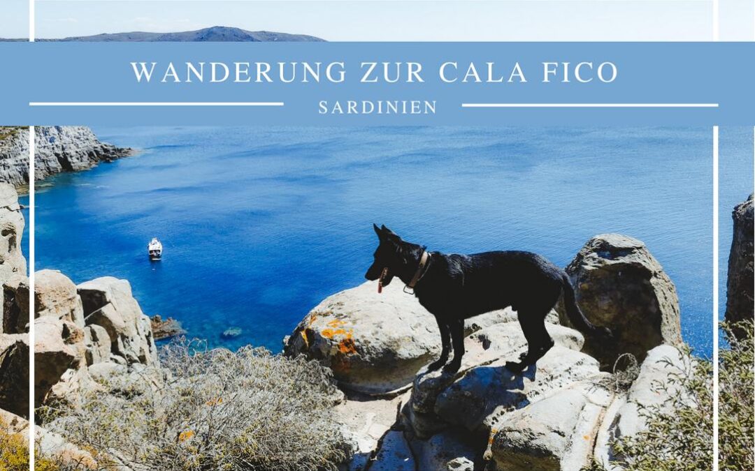 Wandern auf Sardinien: Cala Fico