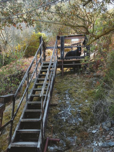 Treppen zur Ruine Castello di Aquafreddo Sardinien thealkamalsontheroad