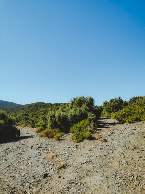 Immer rechts halten Weg bei Televai Sardinien thealkamalsontheroad