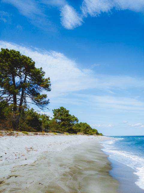kilometerlanger schöner Strand an der Ostküste Korsikas thealkamalsontheroad