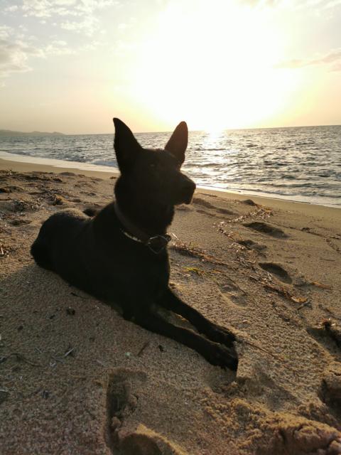 Ryok genießt Sonnenuntergang am Meer thealkamalsontheroad