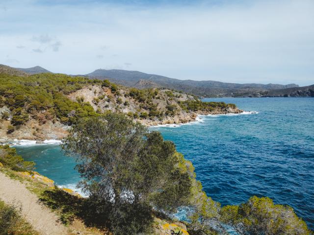 Buchten mit Felsen und azurblauem Meer auf dem Camí de Ronda Katalonien Spanien thealkamalsontheroad