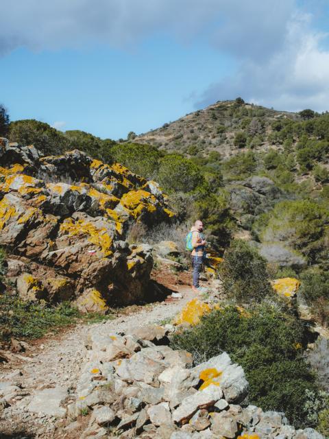 vorbei an Felsen mit Moos und Flechten und an Kieferbäumen Katalonien Spanien thealkamalsontheroad