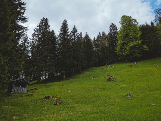 Buckelwiesen mit Holzscheune in den Alpen thealkamalsontheroad