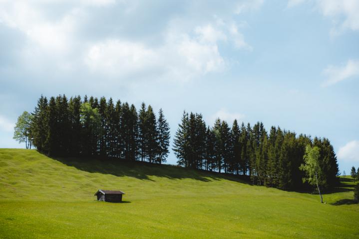 Buckelwiesen Alpen thealkamalsontheroad