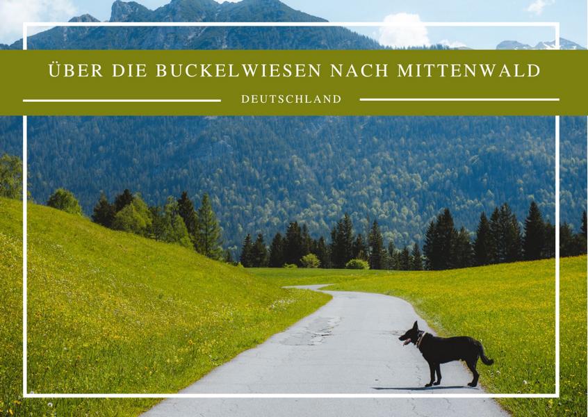 Wandern in den Alpen: Über die Buckelwiesen nach Mittenwald