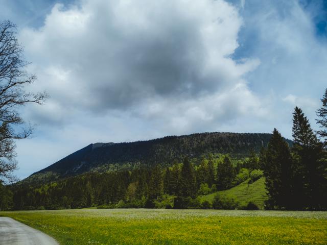 Hirschhörnlkopf vom Tal aus Alpen thealkamalsontheroad