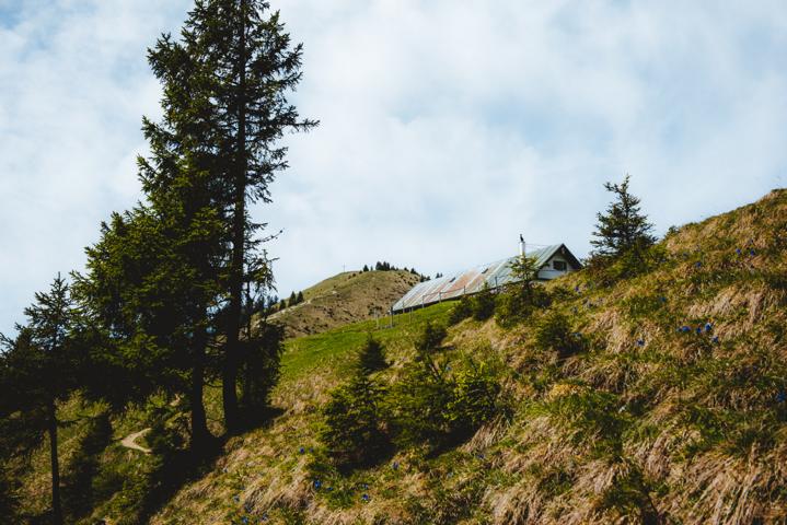 Pfundalm und Gipfelkreuz im Blick Alpen thealkamalsontheroad