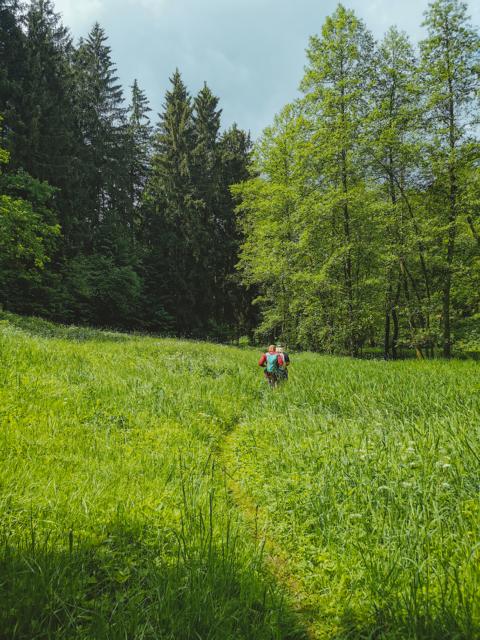 Wandern in der Oberpfalz thealkamalsontheroad