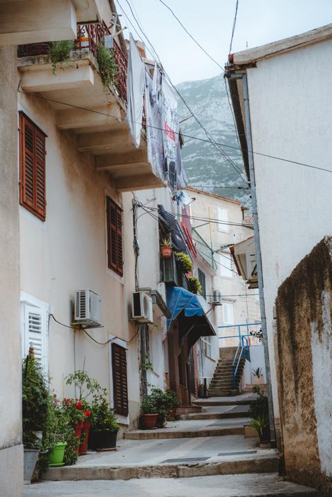 pflanzen in den Gassen Makarska Kroatien thealkamalsontheroad