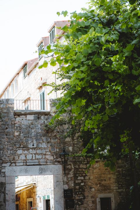 viel grün in Omis Kroatien thealkamalsontheroad