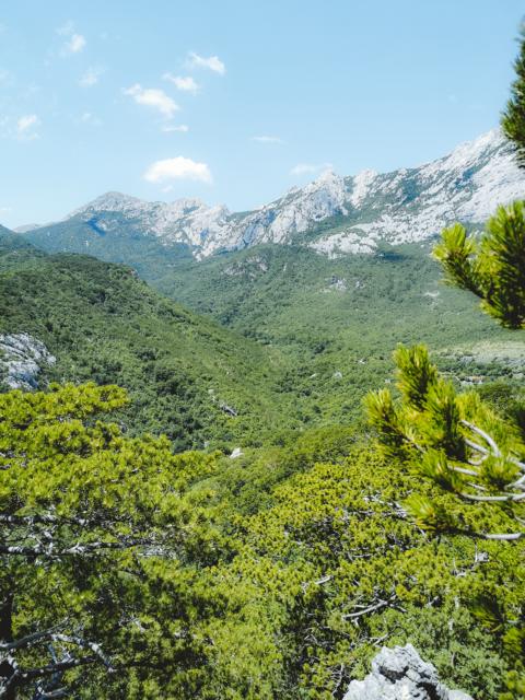 bewaldetes Gebirge Paklenica-Nationalpark  Kroatien thealkamalsontheroad