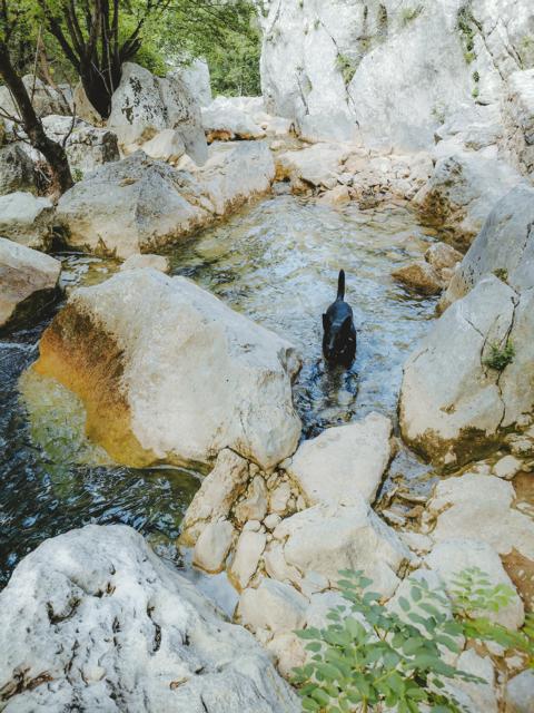 kleine Wasserfälle und Gumpen Paklenica-Nationalpark  Kroatien thealkamalsontheroad