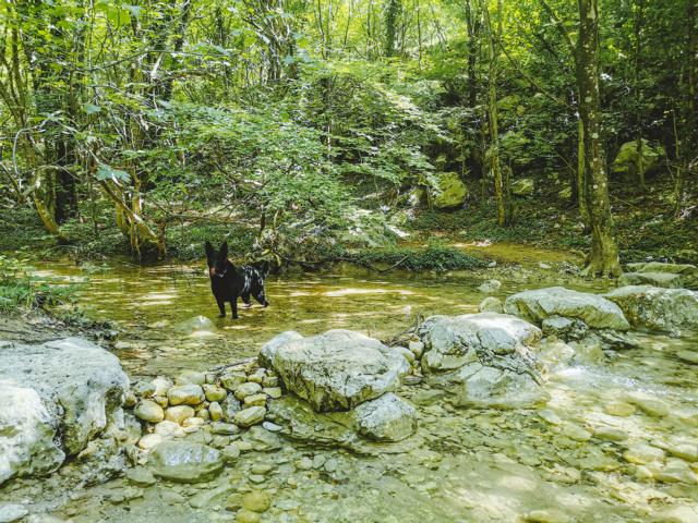 Ryok überquert einen Fluss Paklenica-Nationalpark  Kroatien thealkamalsontheroad