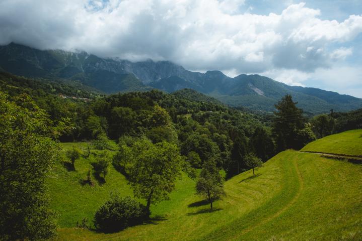 Wiesenlandschaft bei Magozd Soča  Slowenien thealkamalsontheroad