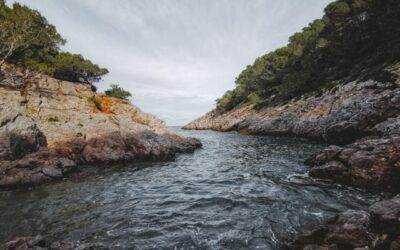 Wandern in Katalonien: Cala Pedrosa