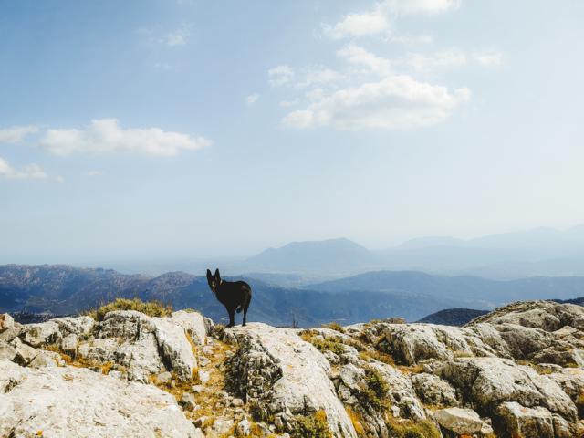 Ryok auf dem Gipfel des Punta Catirina Sardinien thealkamalsontheroad