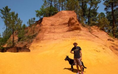 Roussillon & Colorado Provençale mit Hund