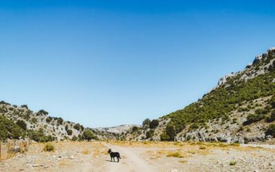 Wandern auf Sardinien: Gigantengräber s’Arrena