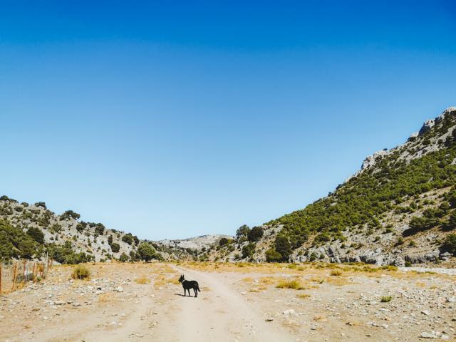 Ryok auf dem Weg zu den Gigantengräbern Sardinien thealkamalsontheroad