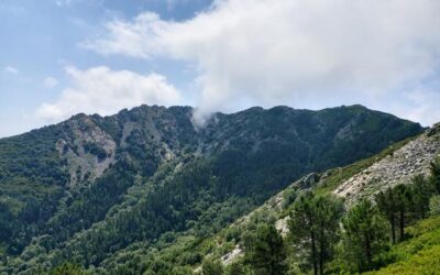 Wandern auf Elba : Monte Capanne