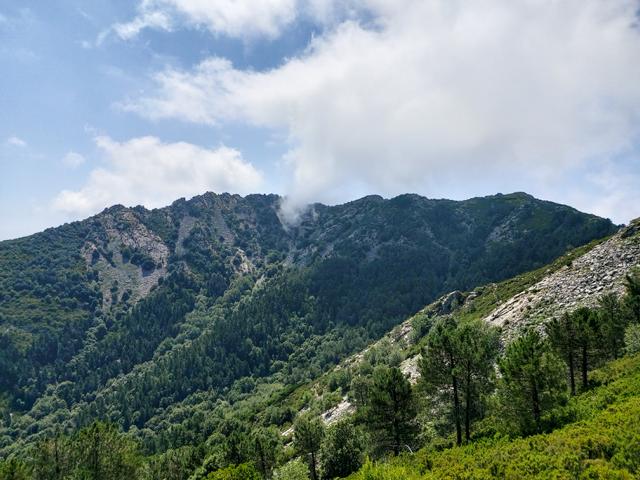 Wandern auf Elba : Monte Capanne