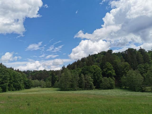 Wälder am Otterbach Oberpfalz Deutschland thealkamalsontheroad