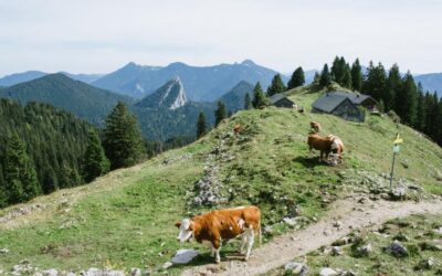 Wandern in den Alpen: Tegernseer Hütte