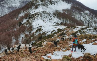 Wandern in Katalonien: Turò de l’Home & Les Agudes