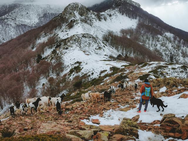 Alaa und Ryok auf einem Berg im Schnee Spanien thealkamalsontheroad