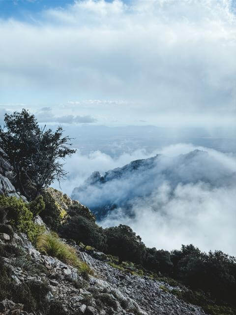 Nebel über der Zentralebene Puig de Massanella Mallorca thealkamalsontheroad