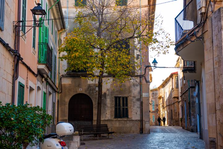 Straße in Pollenca Mallorca thealkamalsontheroad