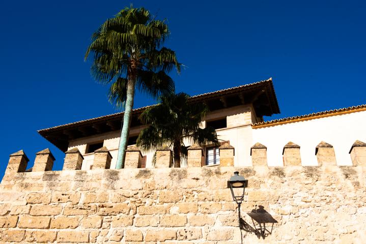 Palme, Mauer und Straßenlampe in Palma Mallorca thealkamalsontheroad